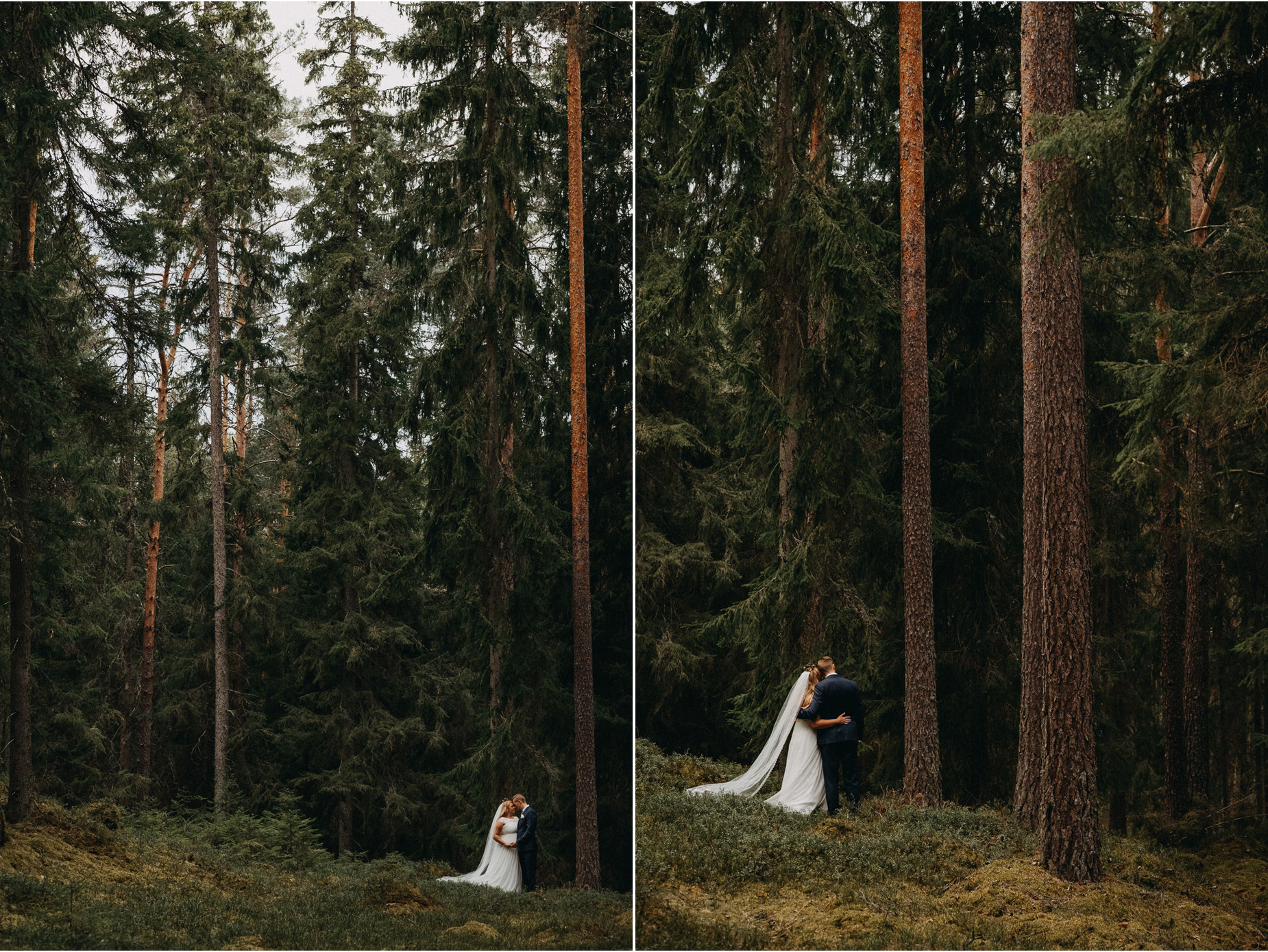 Bröllopsfotografering i småländsk gammelskog - wedding photography in the forest